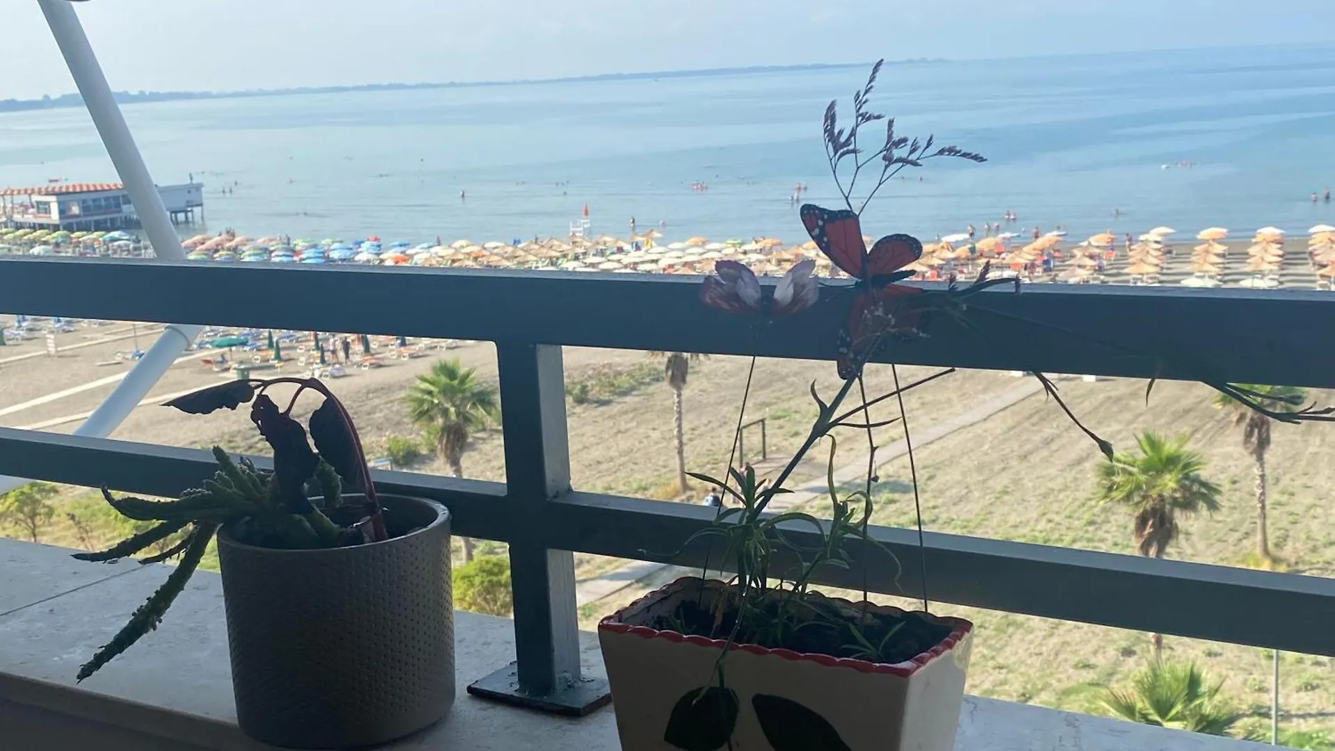 Albi Apartmet Beachfront In Shëngjin 0*,  Arnavutluk